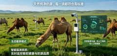 <b>适合线下门店从取社区创业</b>